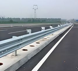 高速道路保護